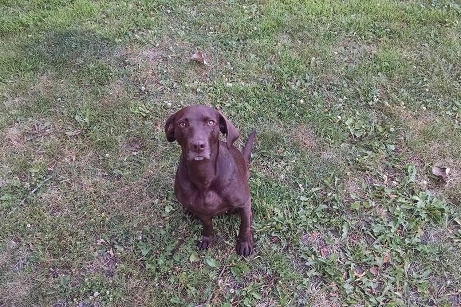 Rainbow Cove Rescue 1