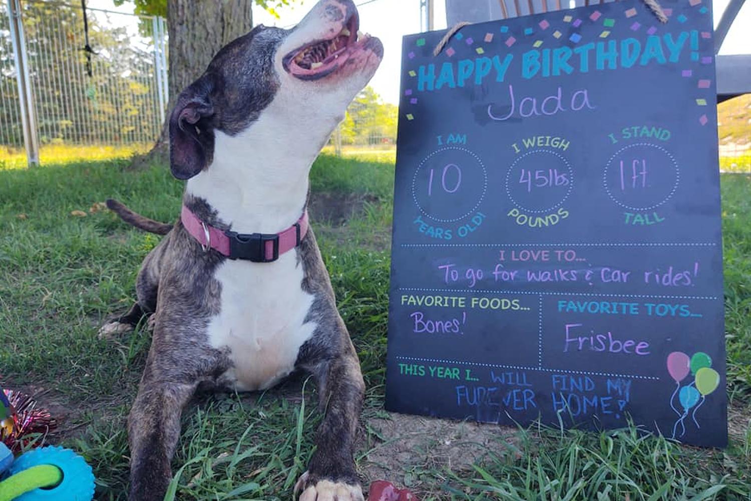 Gracious Friends Animal Sanctuary 4