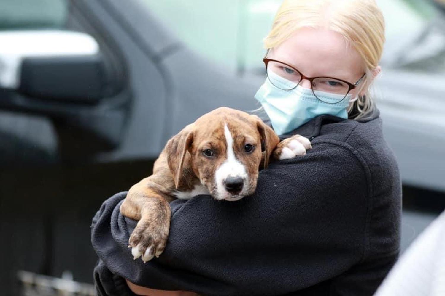 Three Little Pitties Rescue 0