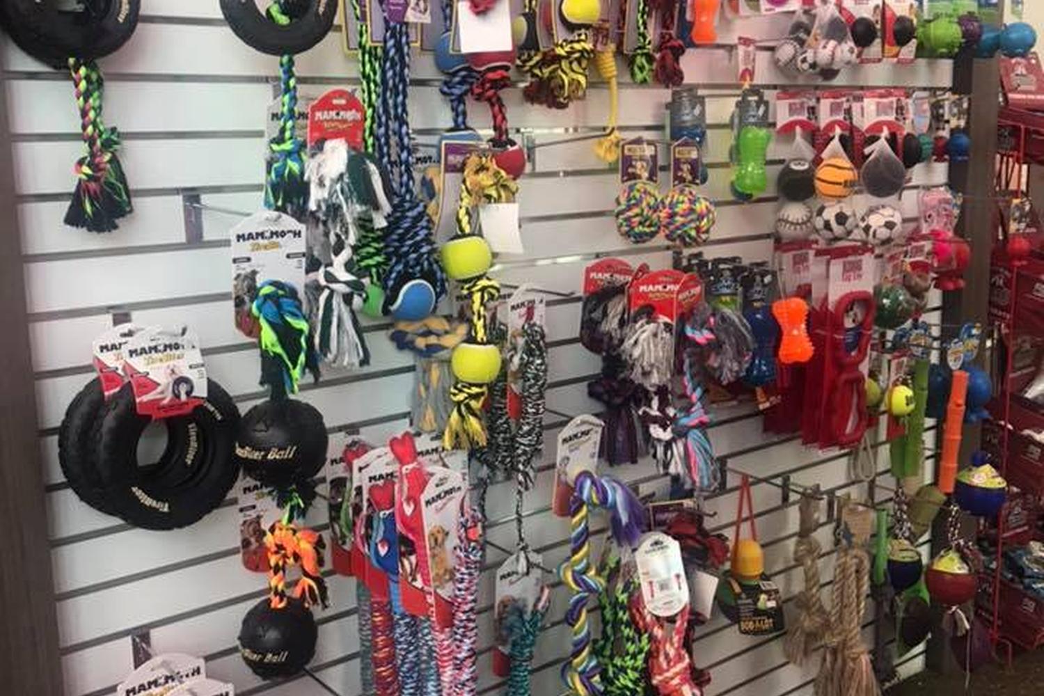 One of A Kind Pet Rescue 4