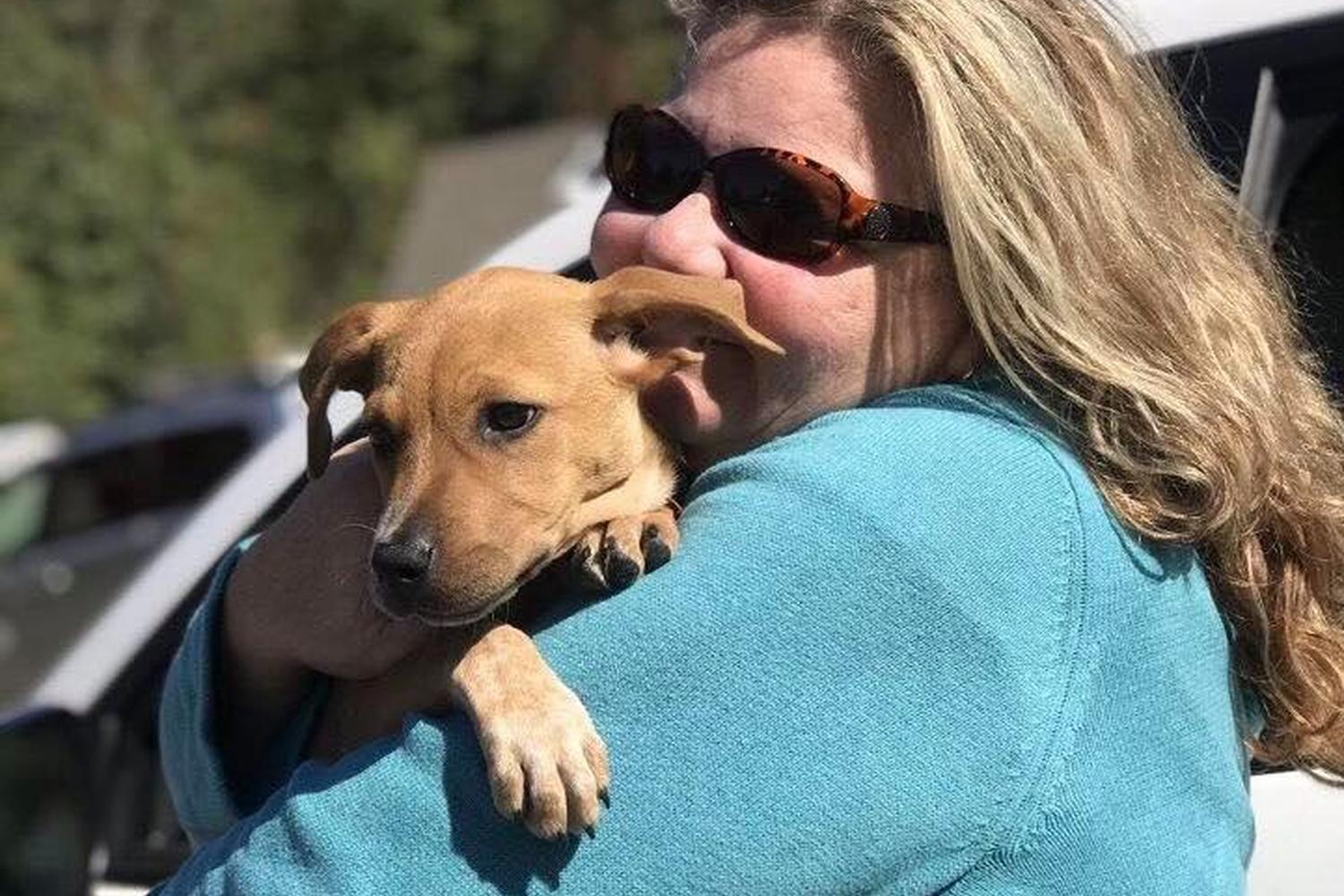 Last Chance Animal Rescue 2