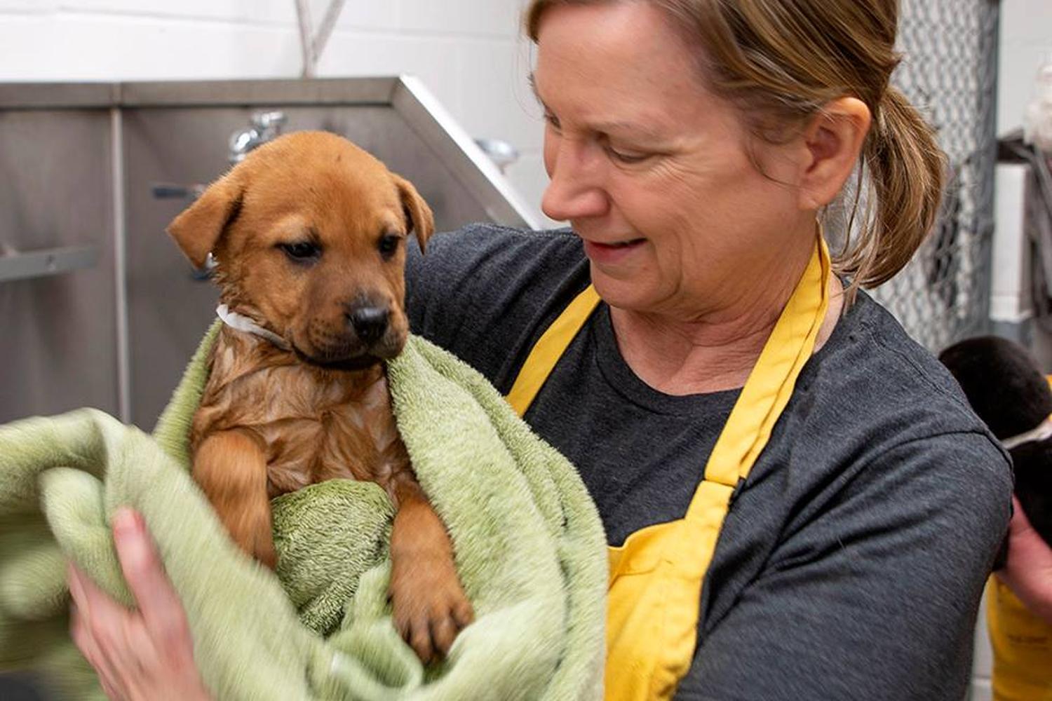 Animal Humane Society 2