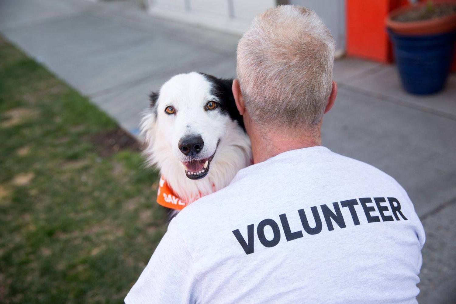 Best Friends Animal Society 5