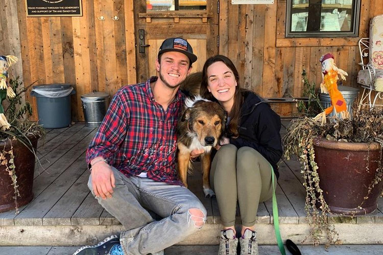 Animal Adoption Center 2