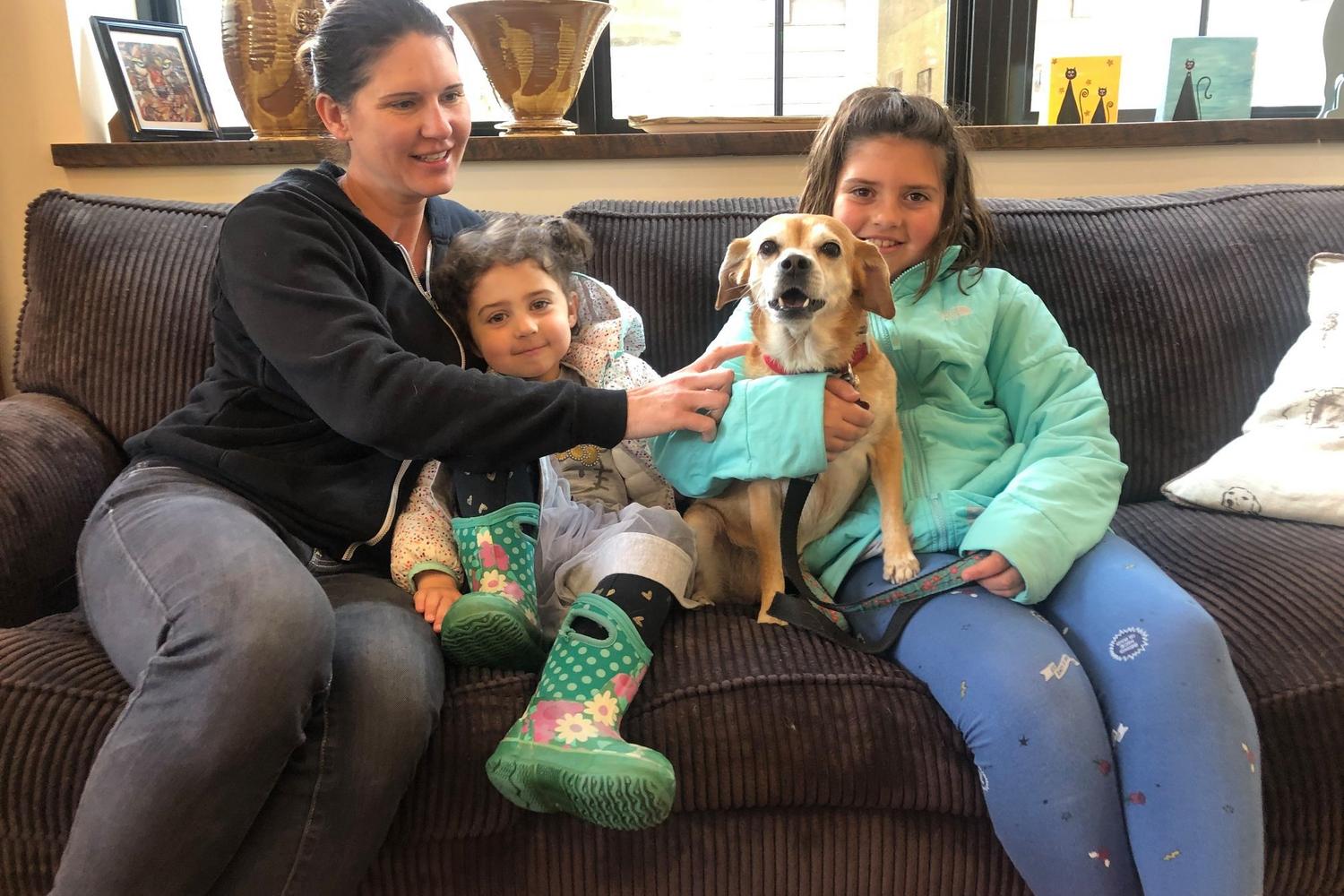 Animal Adoption Center 4
