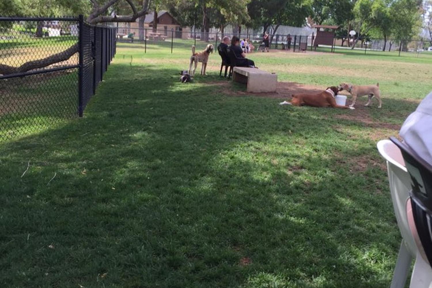 Woodglen Vista Dog Park 5