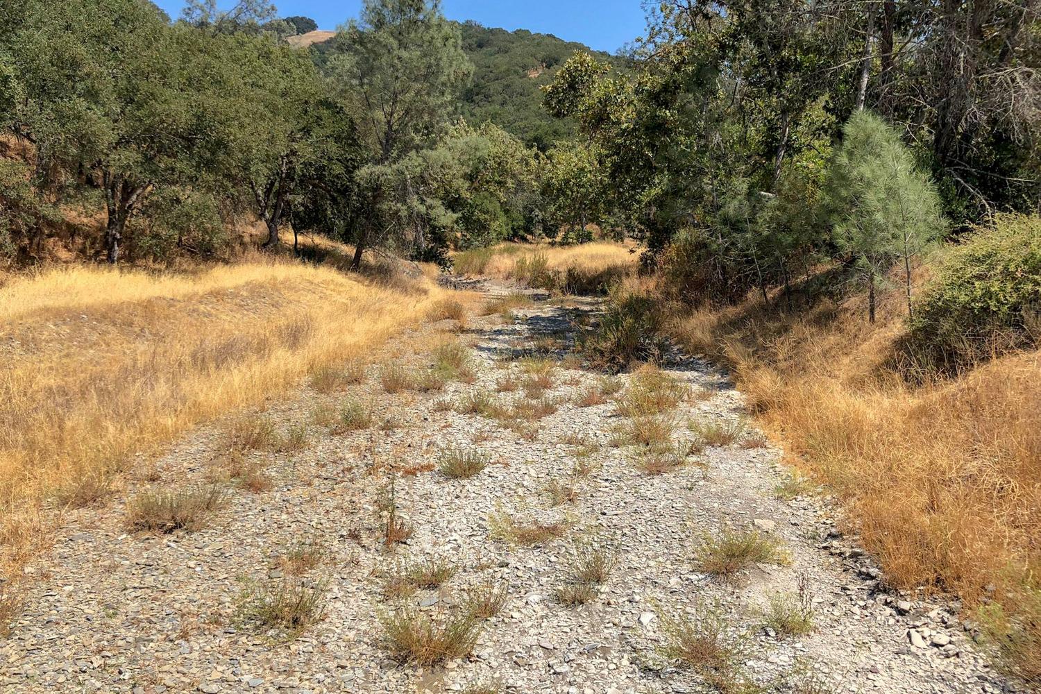 Henry W. Coe State Park 4