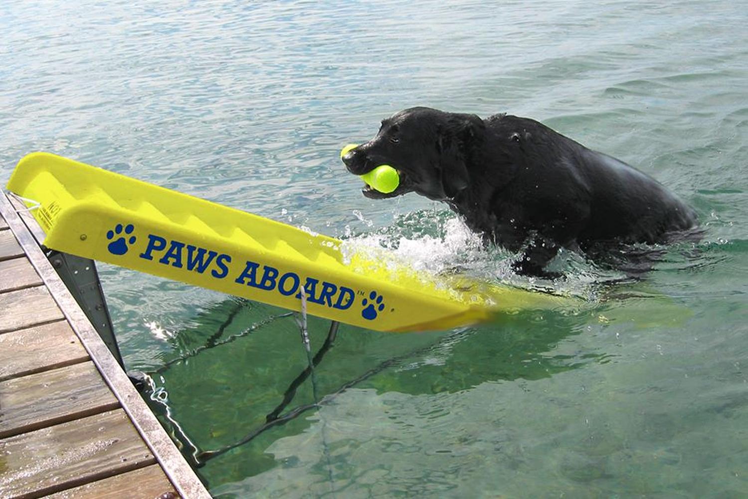 Paws Aboard 5