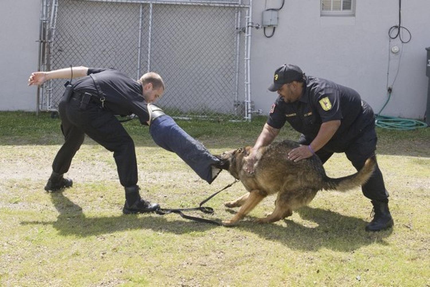 K-9 Protection Services, Inc 2