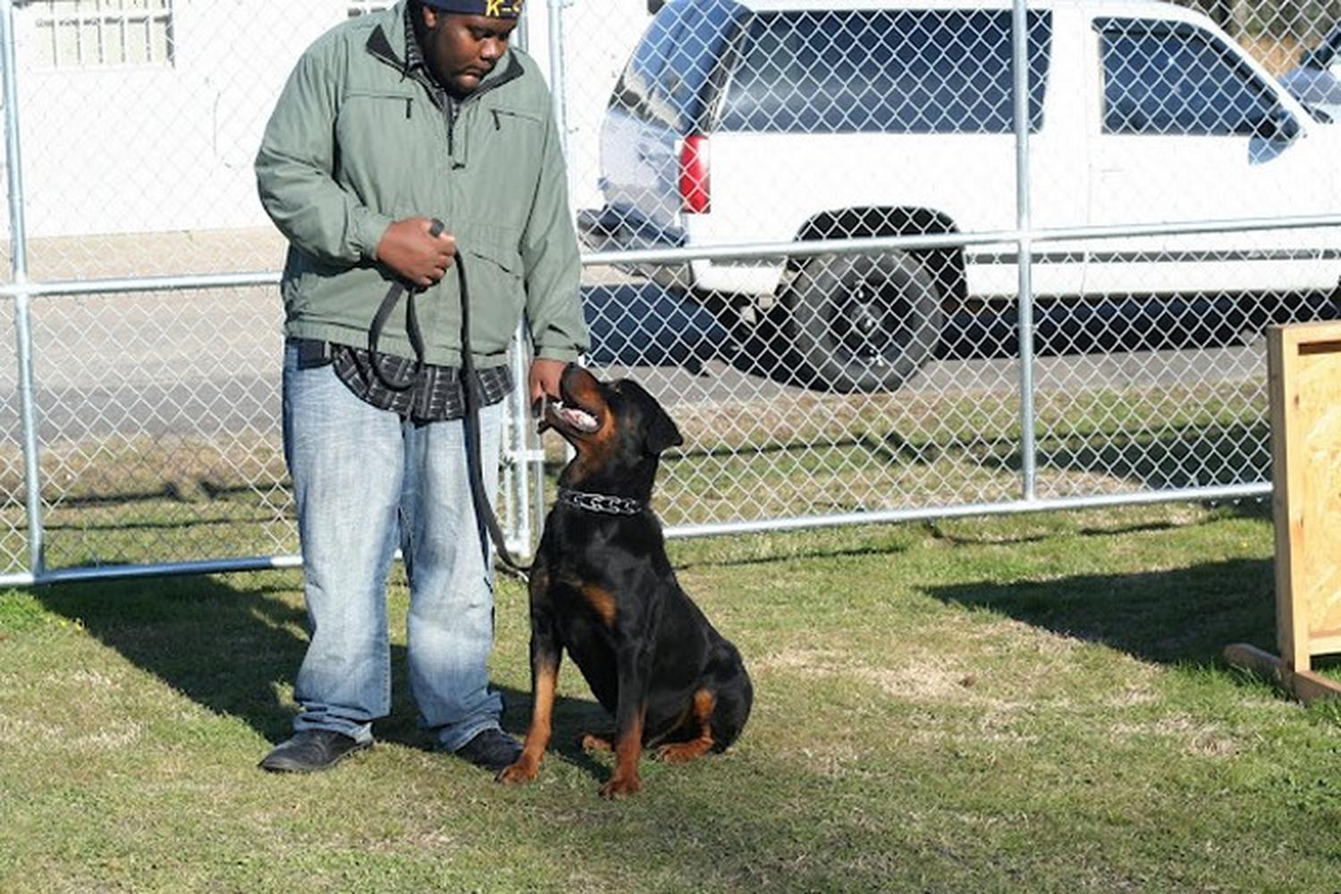 K-9 Protection Services, Inc 0