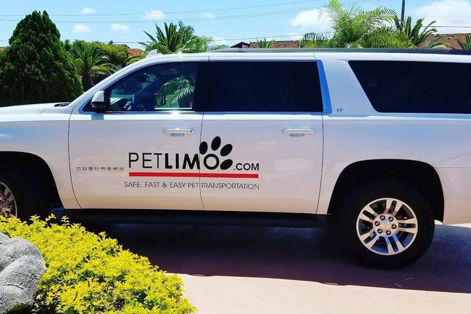 Pet Limo Animal Care and Relocation Services 5
