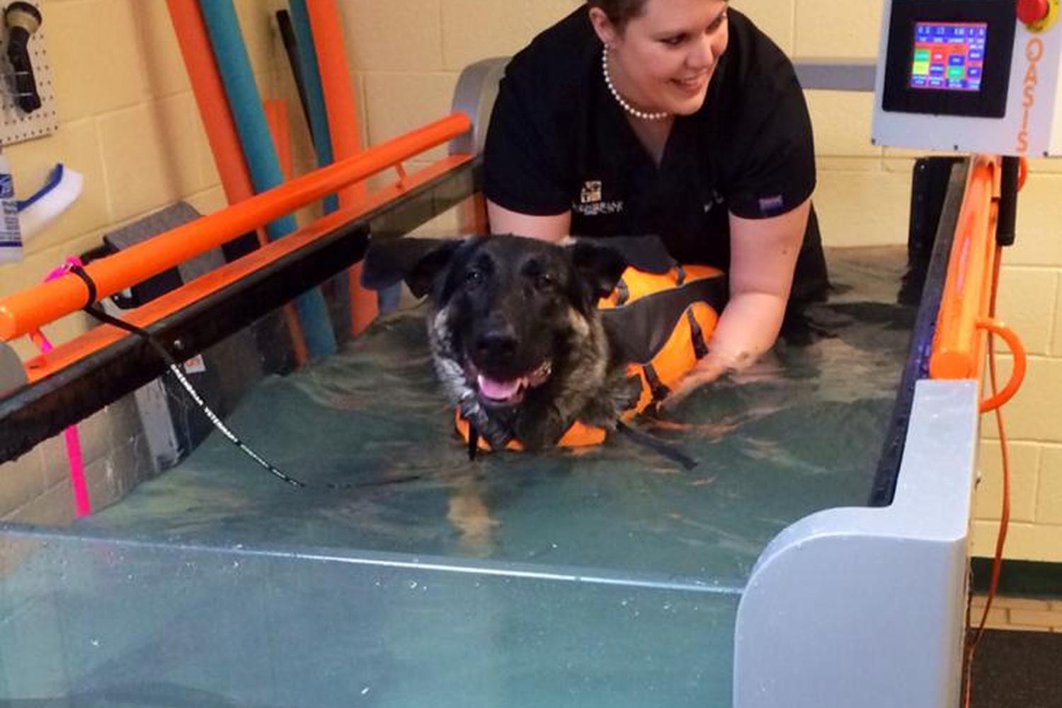 Greenbriar Veterinary Hospital & Luxury Pet Resort 1