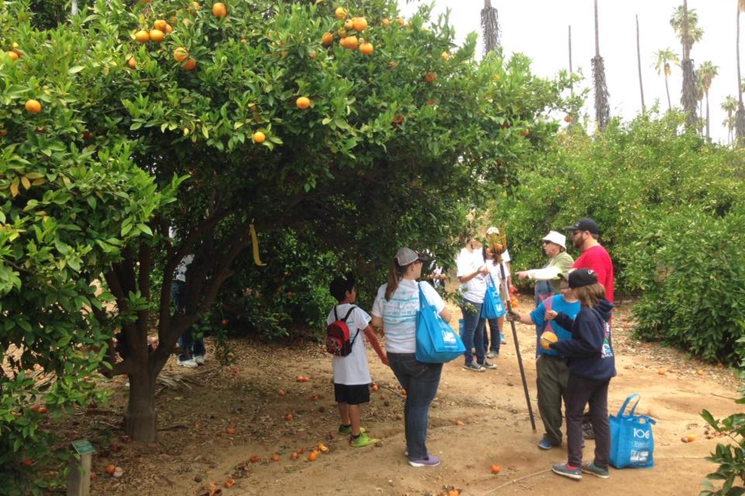 California Citrus State Historic Park 2