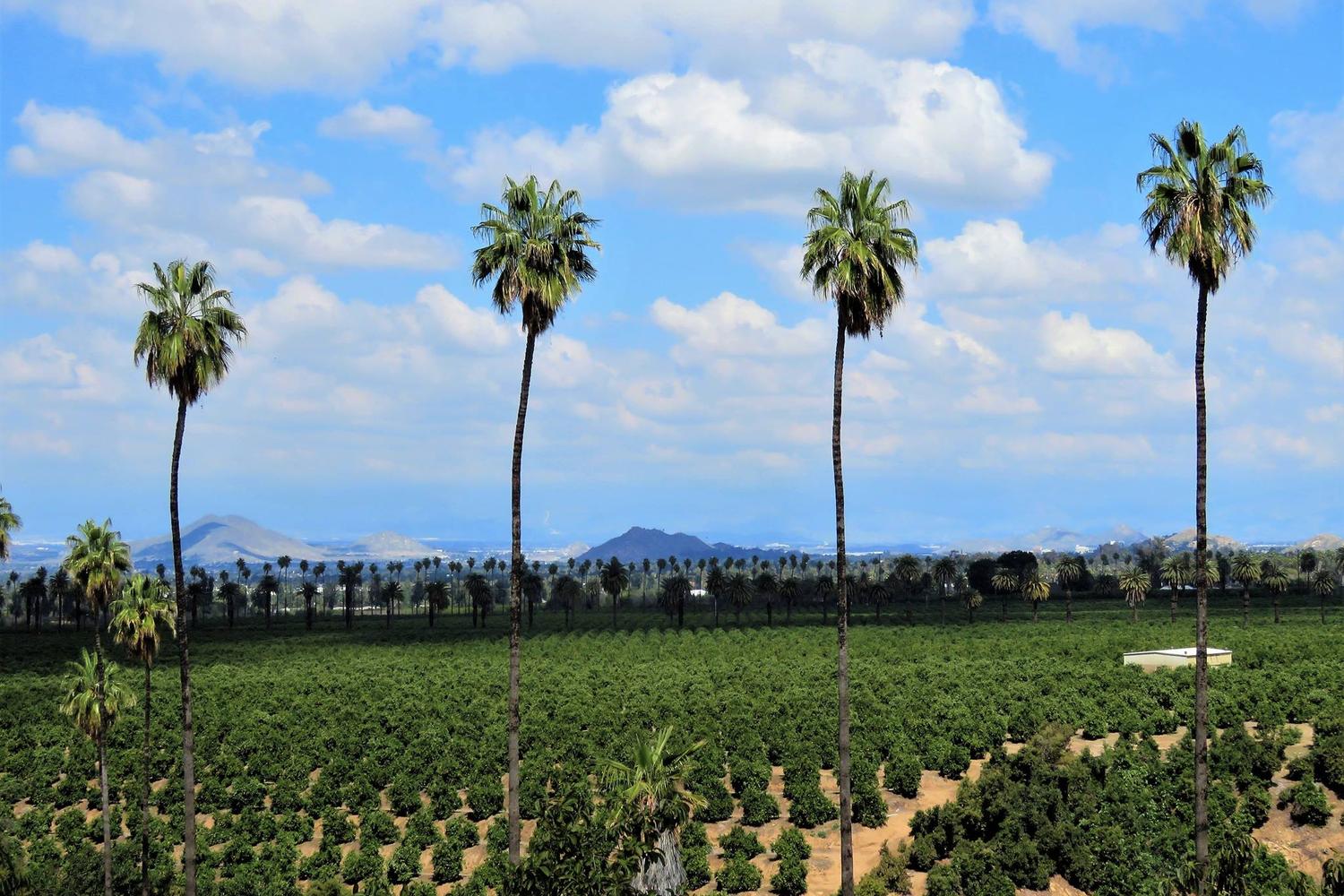 California Citrus State Historic Park 4