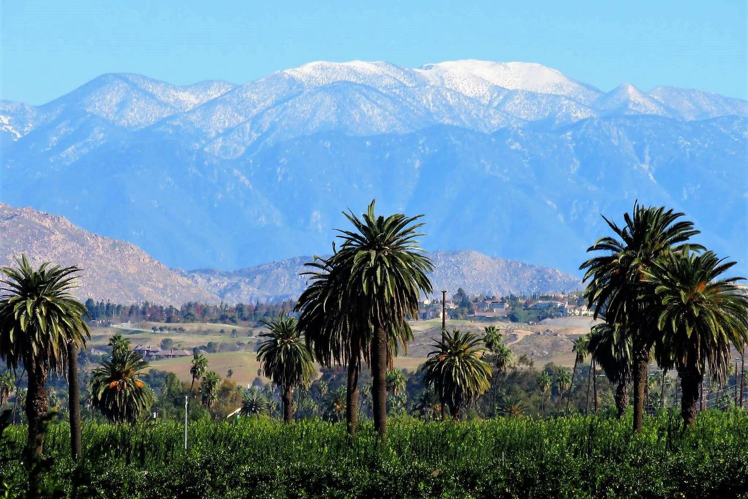 California Citrus State Historic Park 3