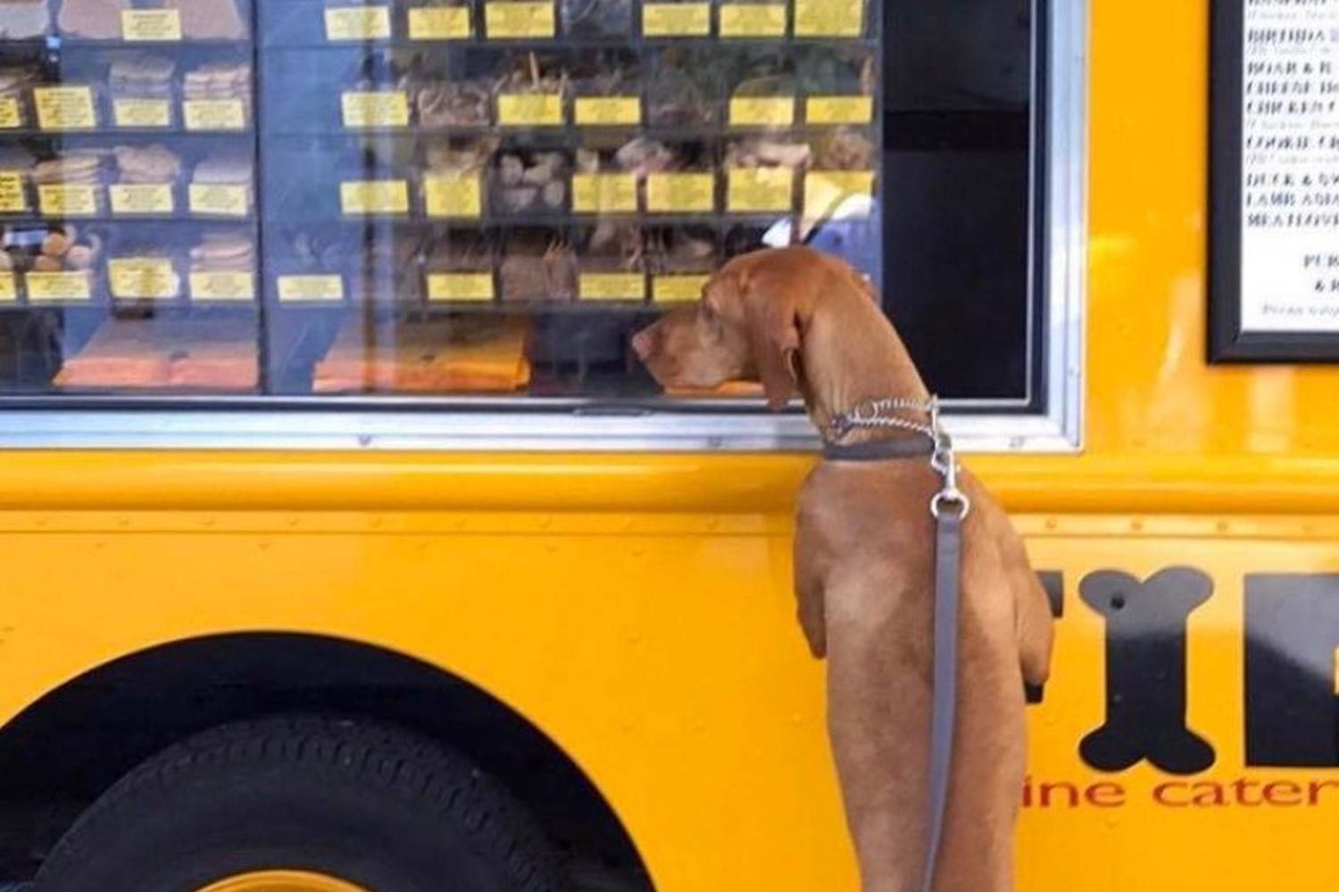 Fido to Go Dog & Cat Treat Food Truck 2