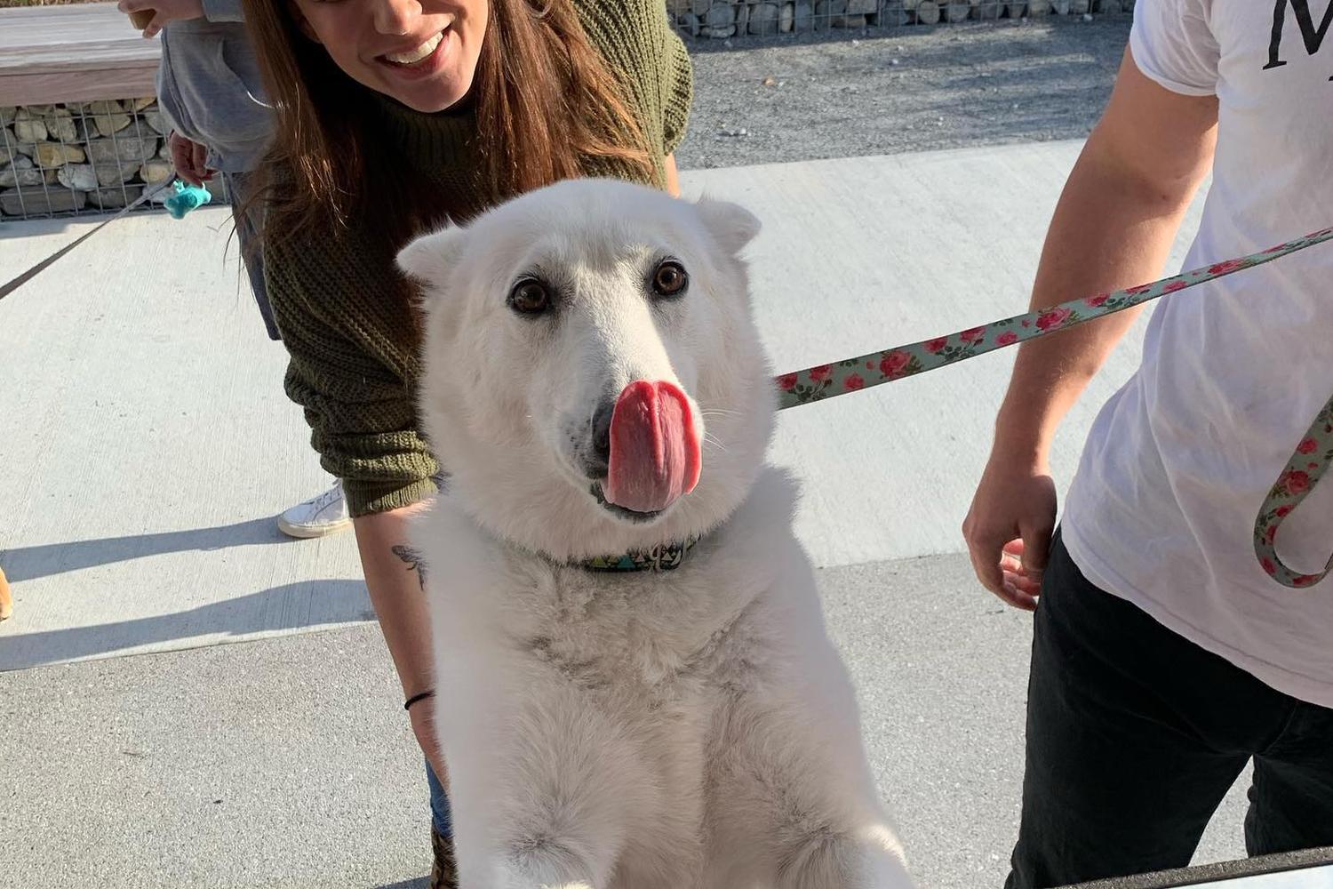 Four-Legged Foodie 4