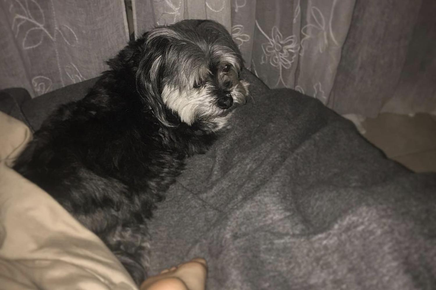 Stonybrook Therapeutic Massage, LLC. 3