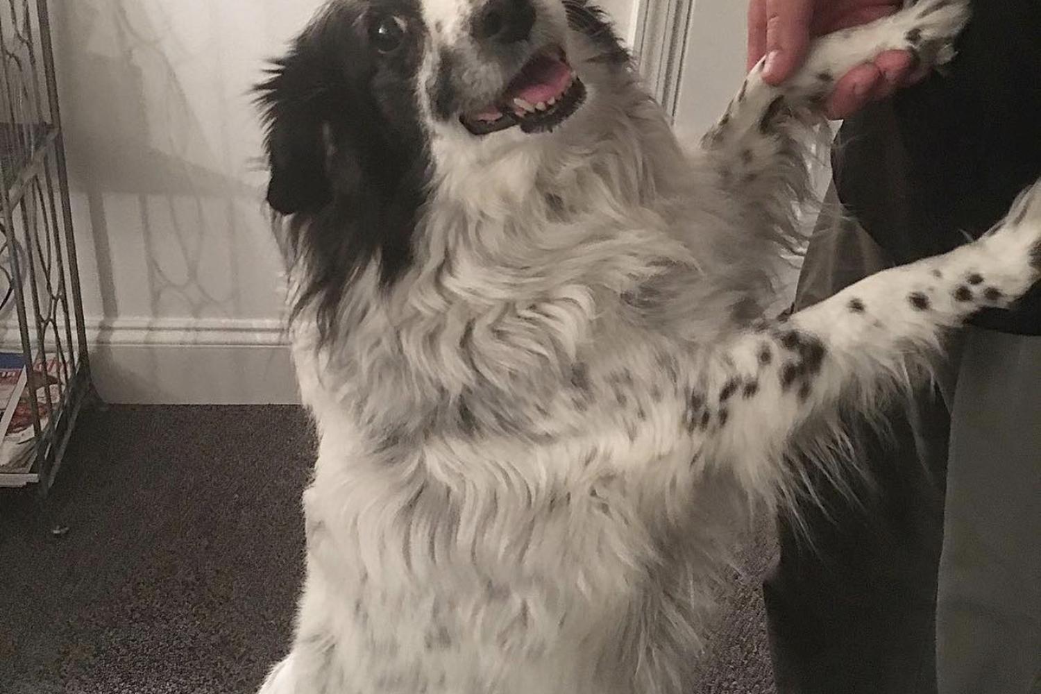 Stonybrook Therapeutic Massage, LLC. 2