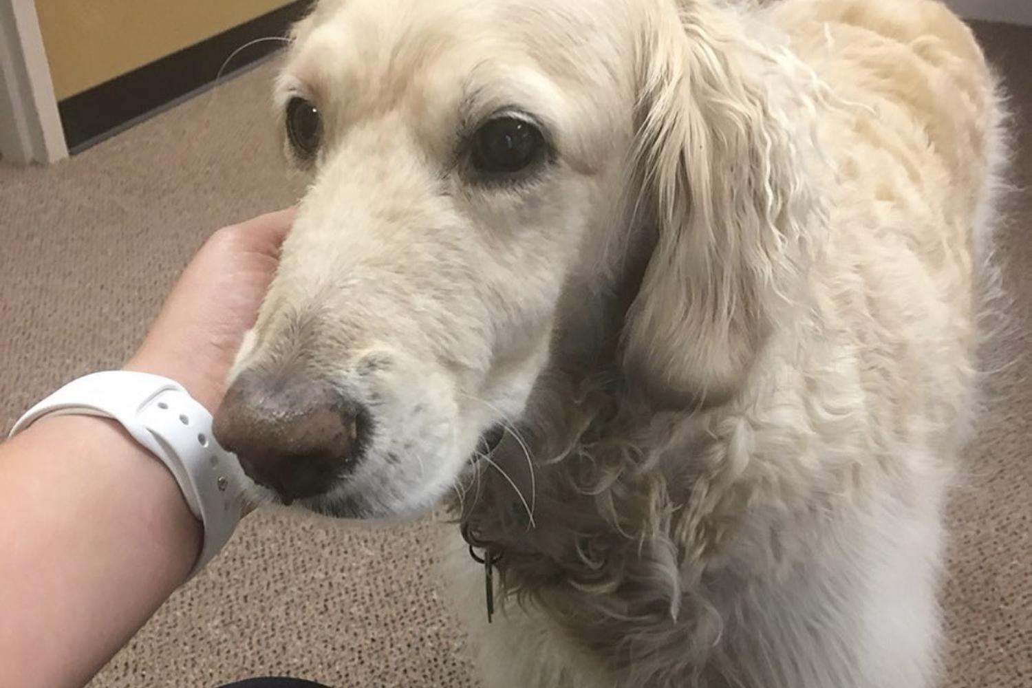 Stonybrook Therapeutic Massage, LLC. 0