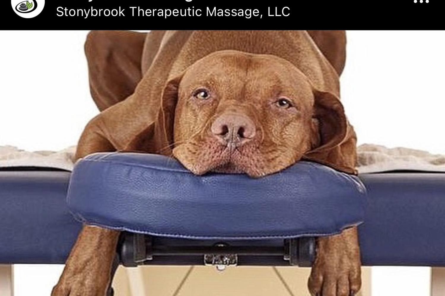 Stonybrook Therapeutic Massage, LLC. 1