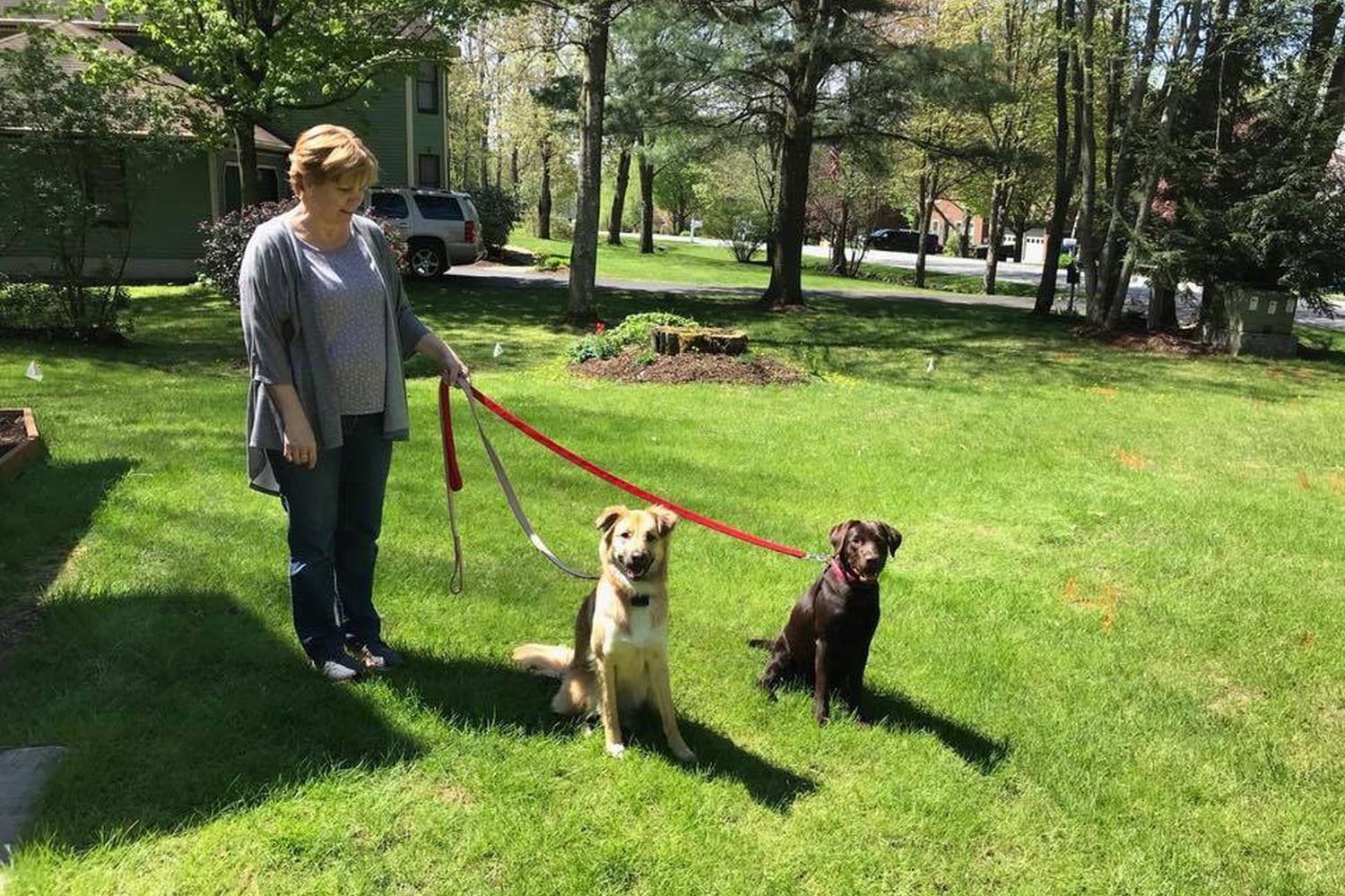 Green Mountain Pet Stop 6