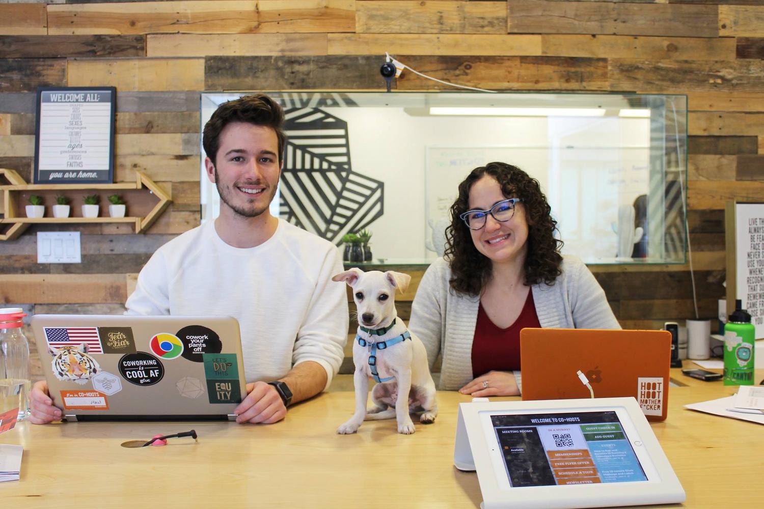 CO+HOOTS Coworking 0
