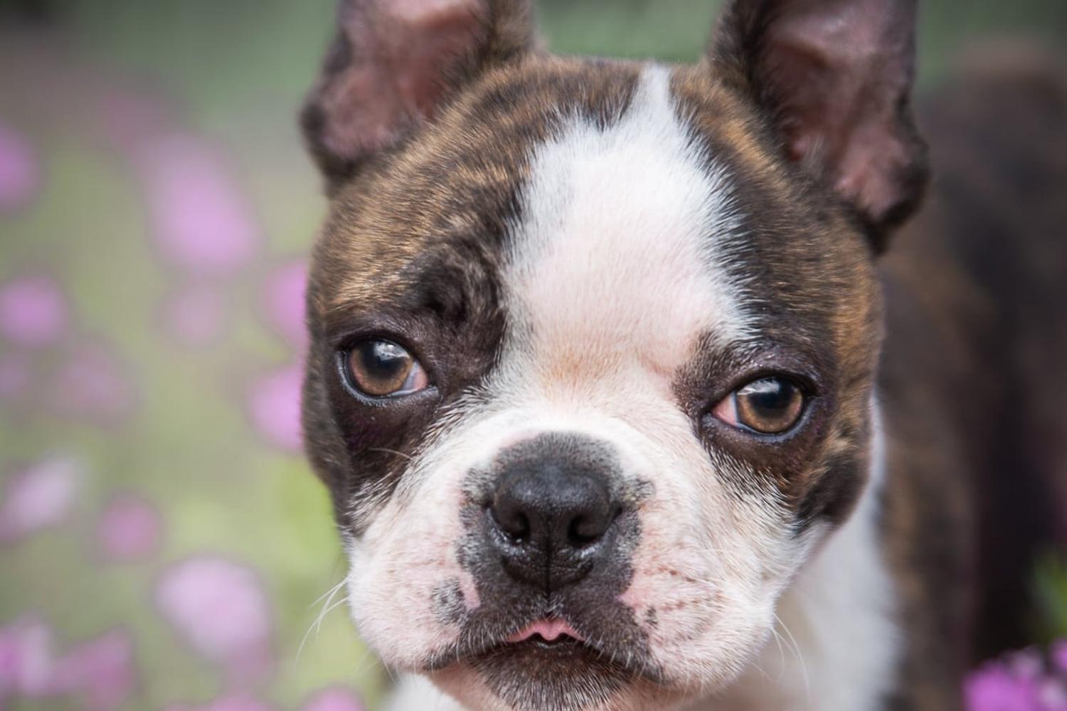 Mark Hazelton Photography 0