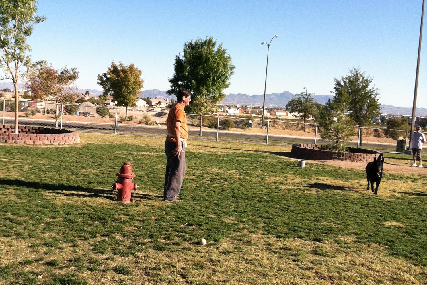 Desert Breeze Dog Park 2