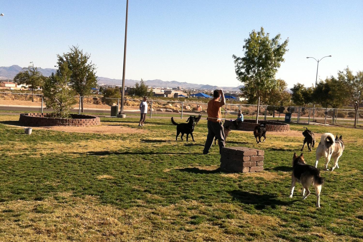 Desert Breeze Dog Park 5