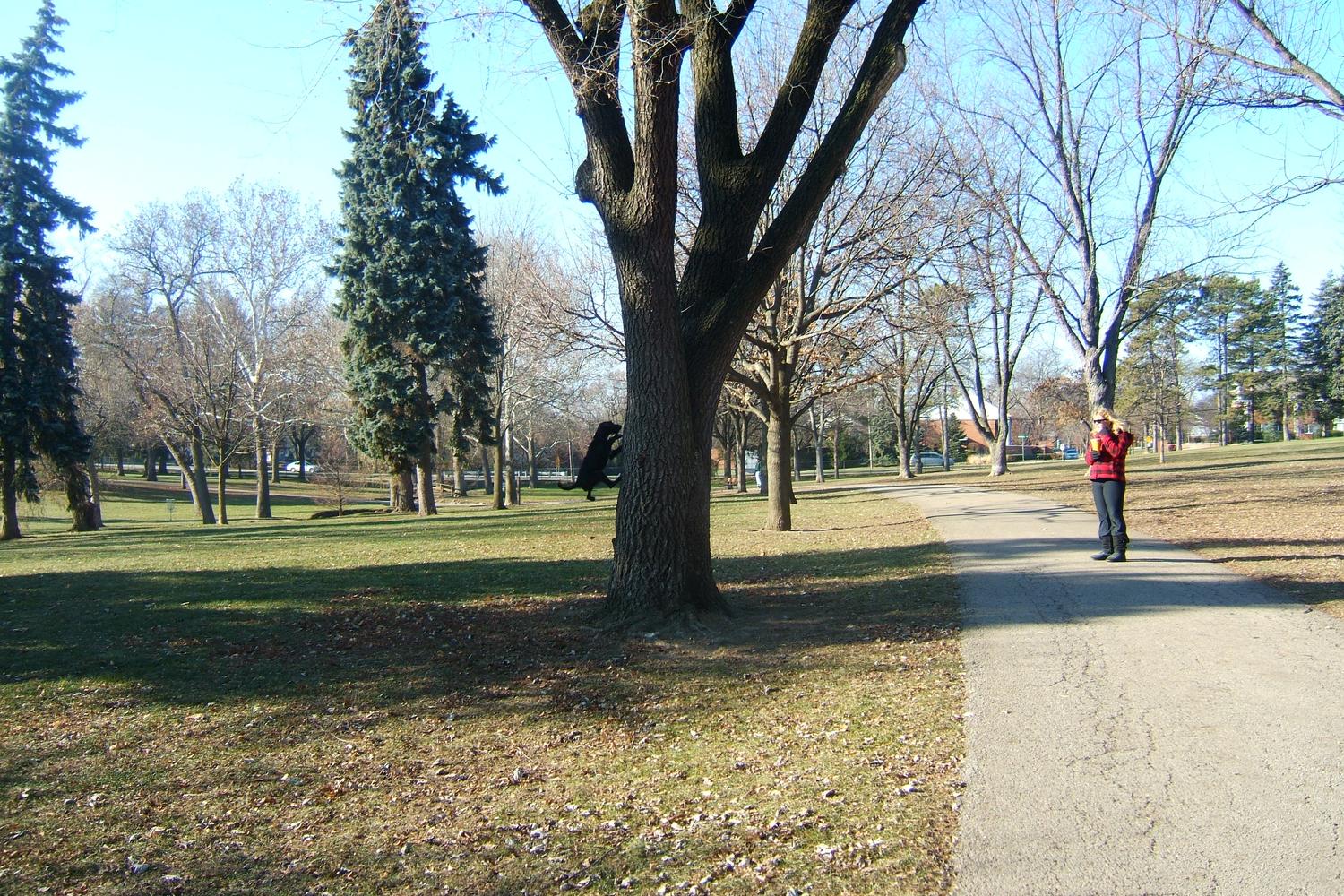 Katherine Legge Memorial Lodge Dog Park 2