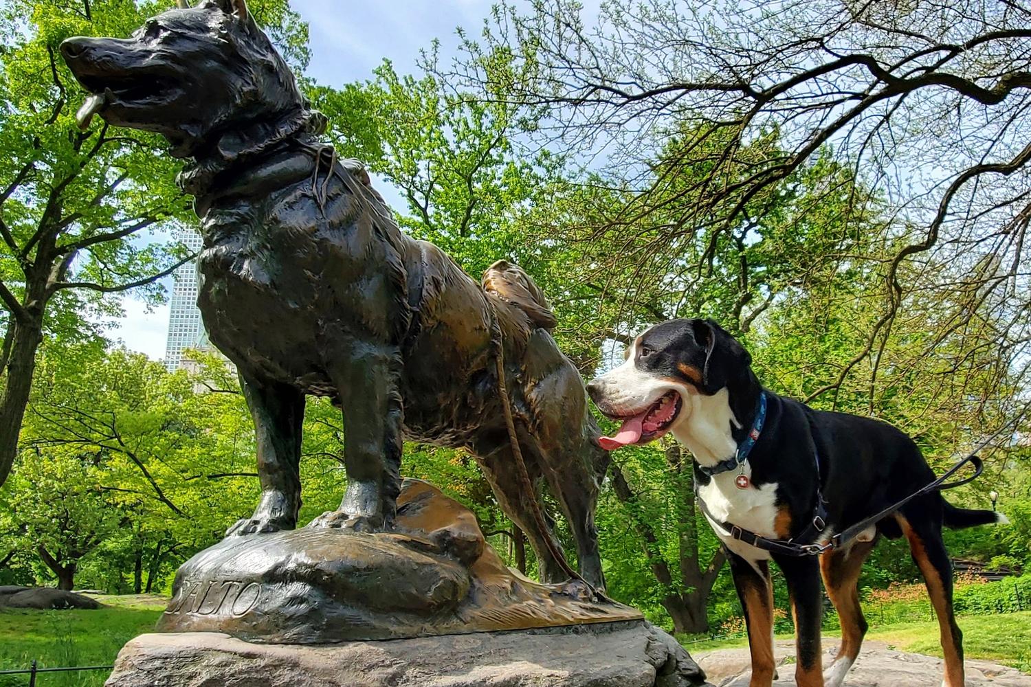 Central Park 0