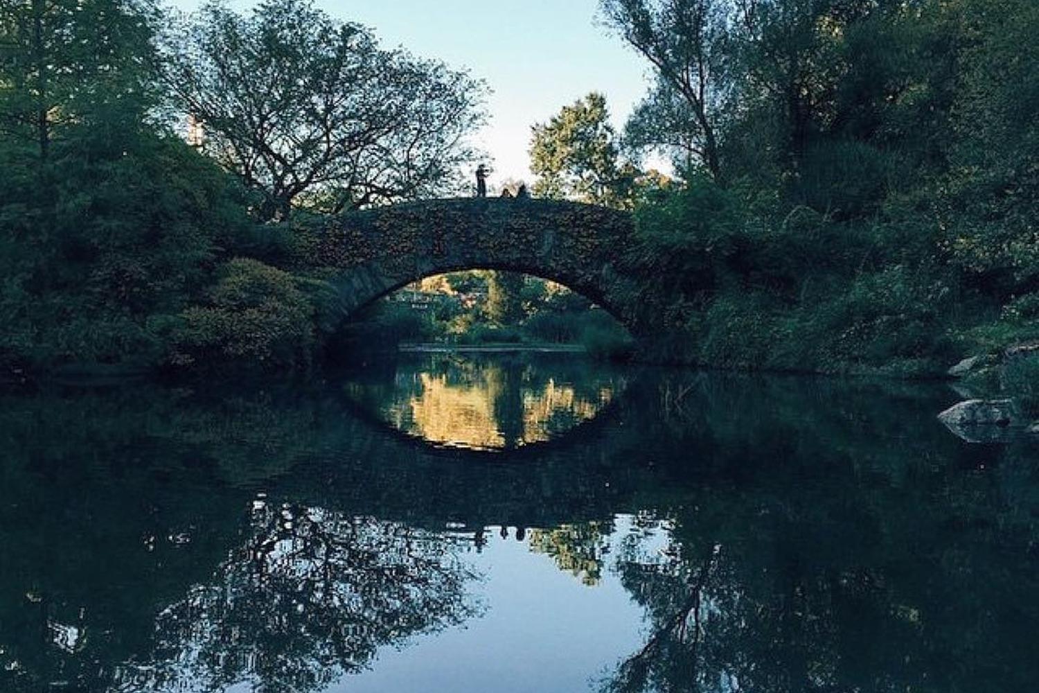 Central Park 3