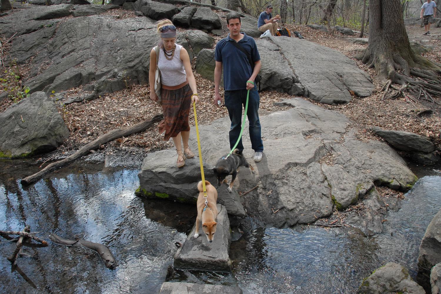 Central Park 1