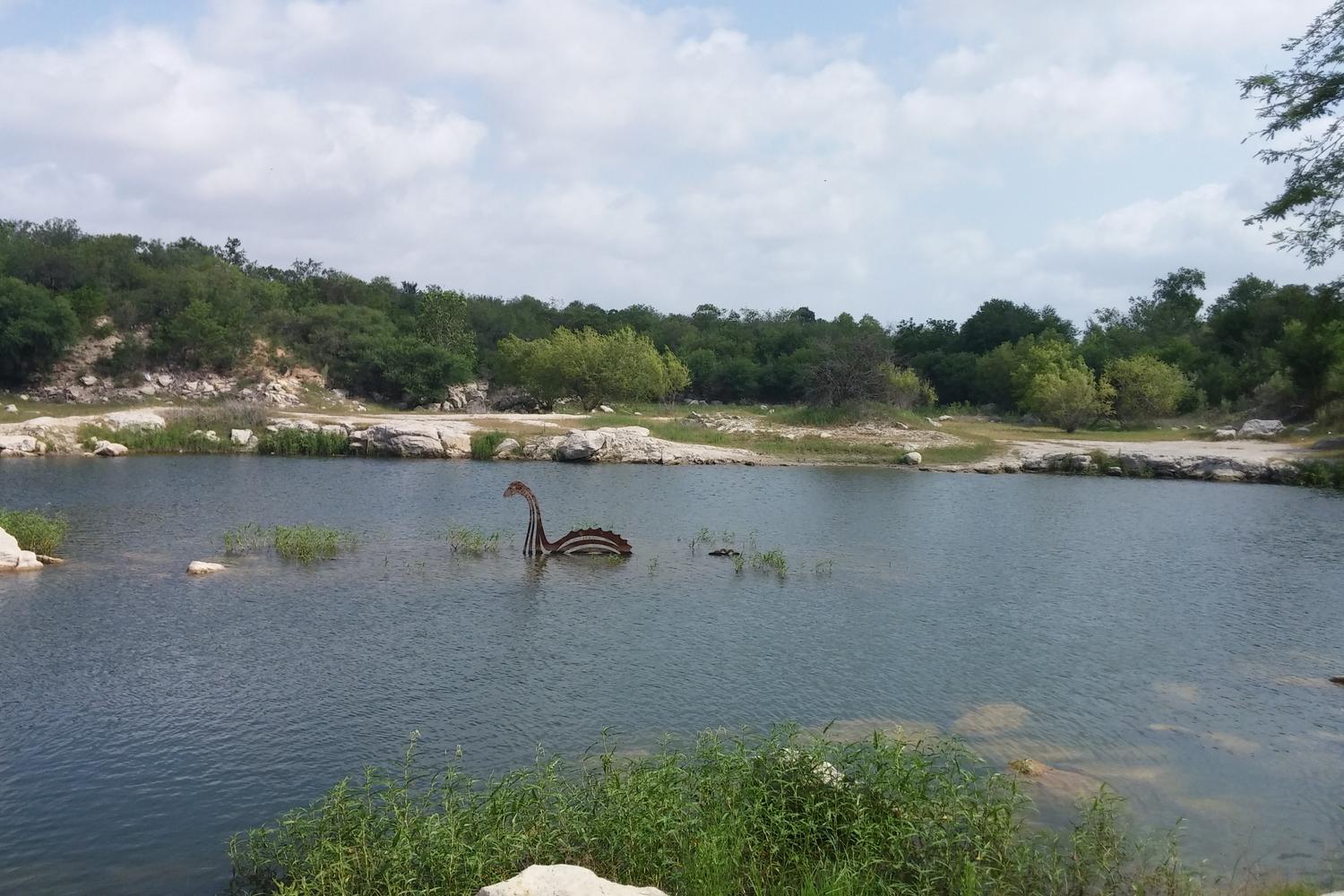 Tom Slick Dog Park 7