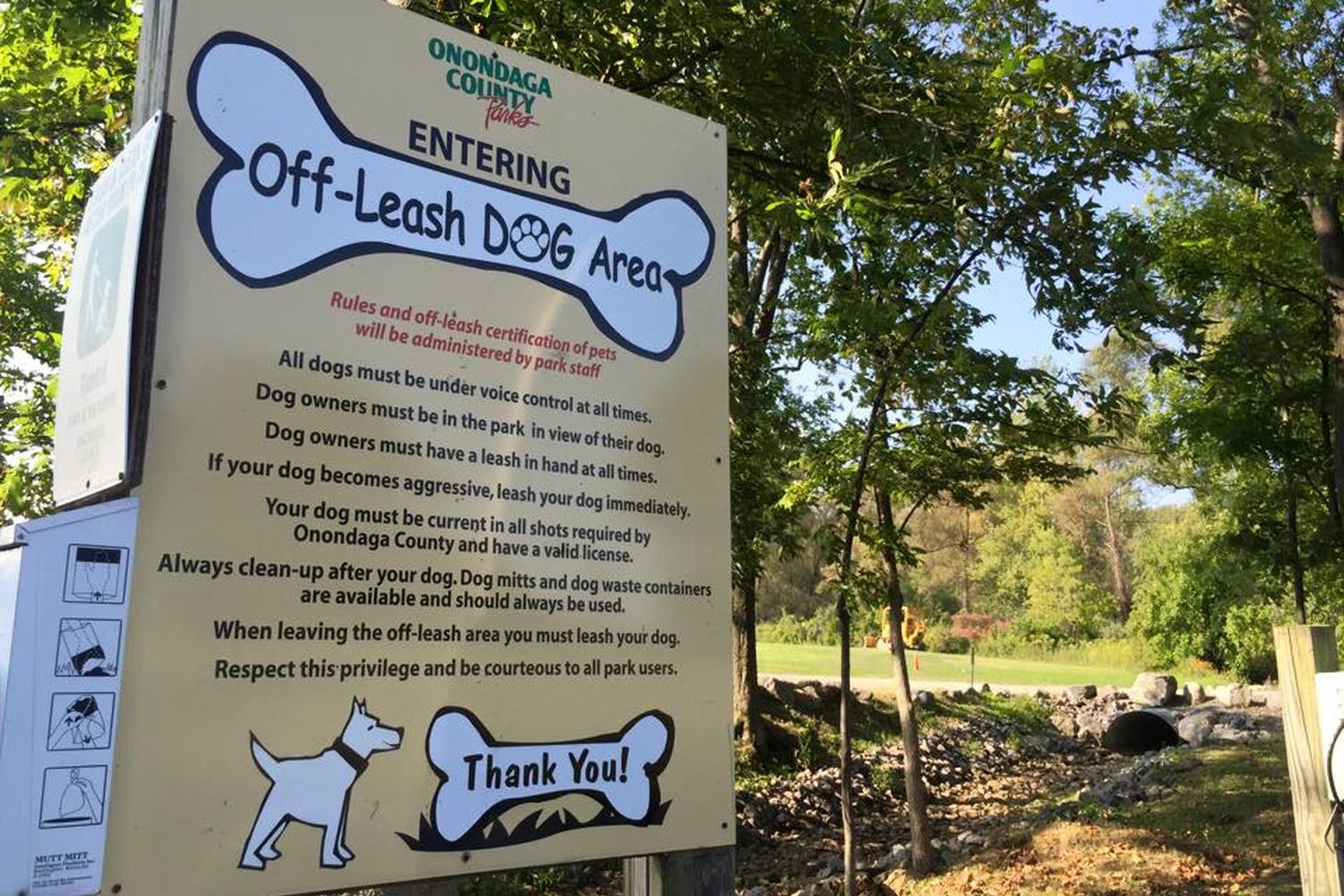 Jamesville Beach Off-leash Dog Park 4