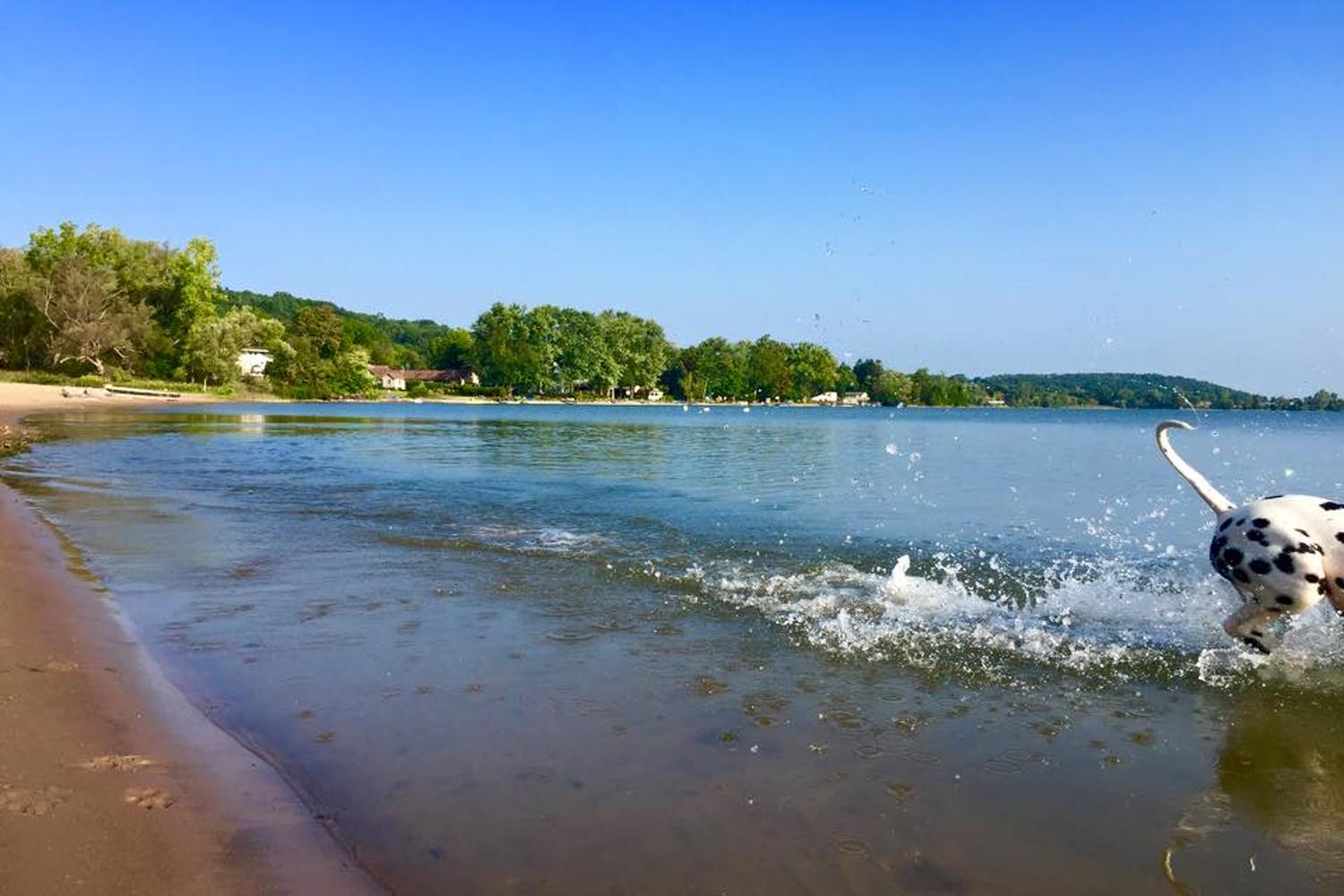 Jamesville Beach Off-leash Dog Park 3
