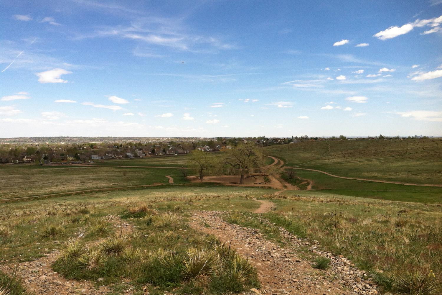 Westminster Hills Off Leash Dog Park 4