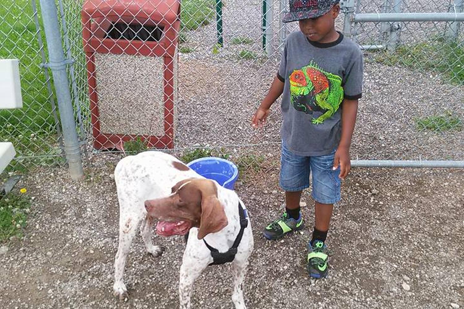 Montgomery County Bark Park 3