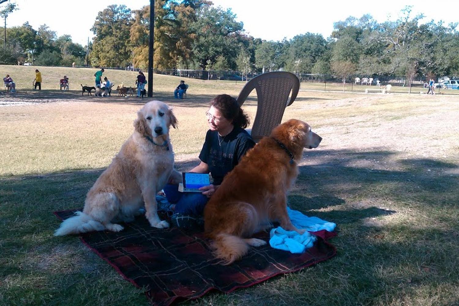 NOLA City Bark 5