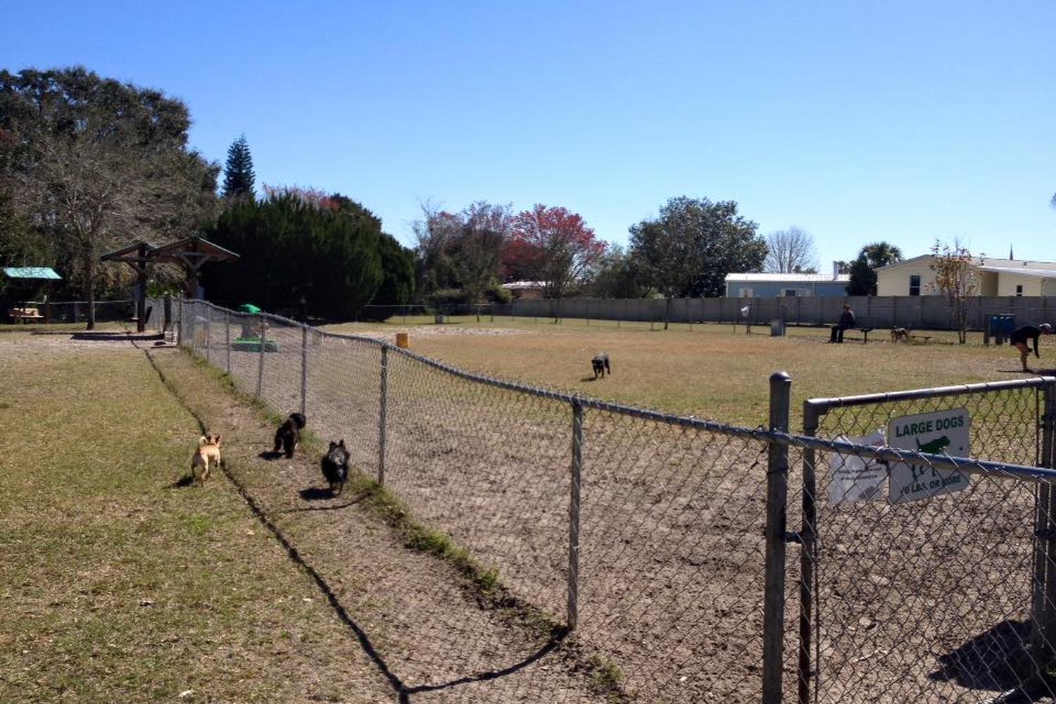 Meadows Dog Park 3