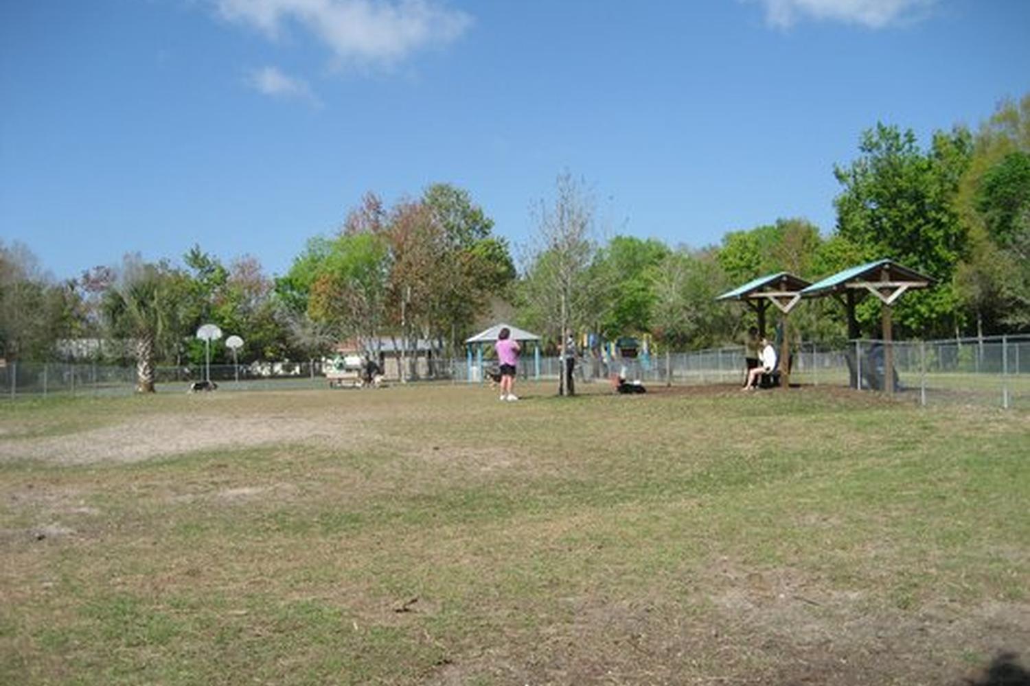 Meadows Dog Park 4