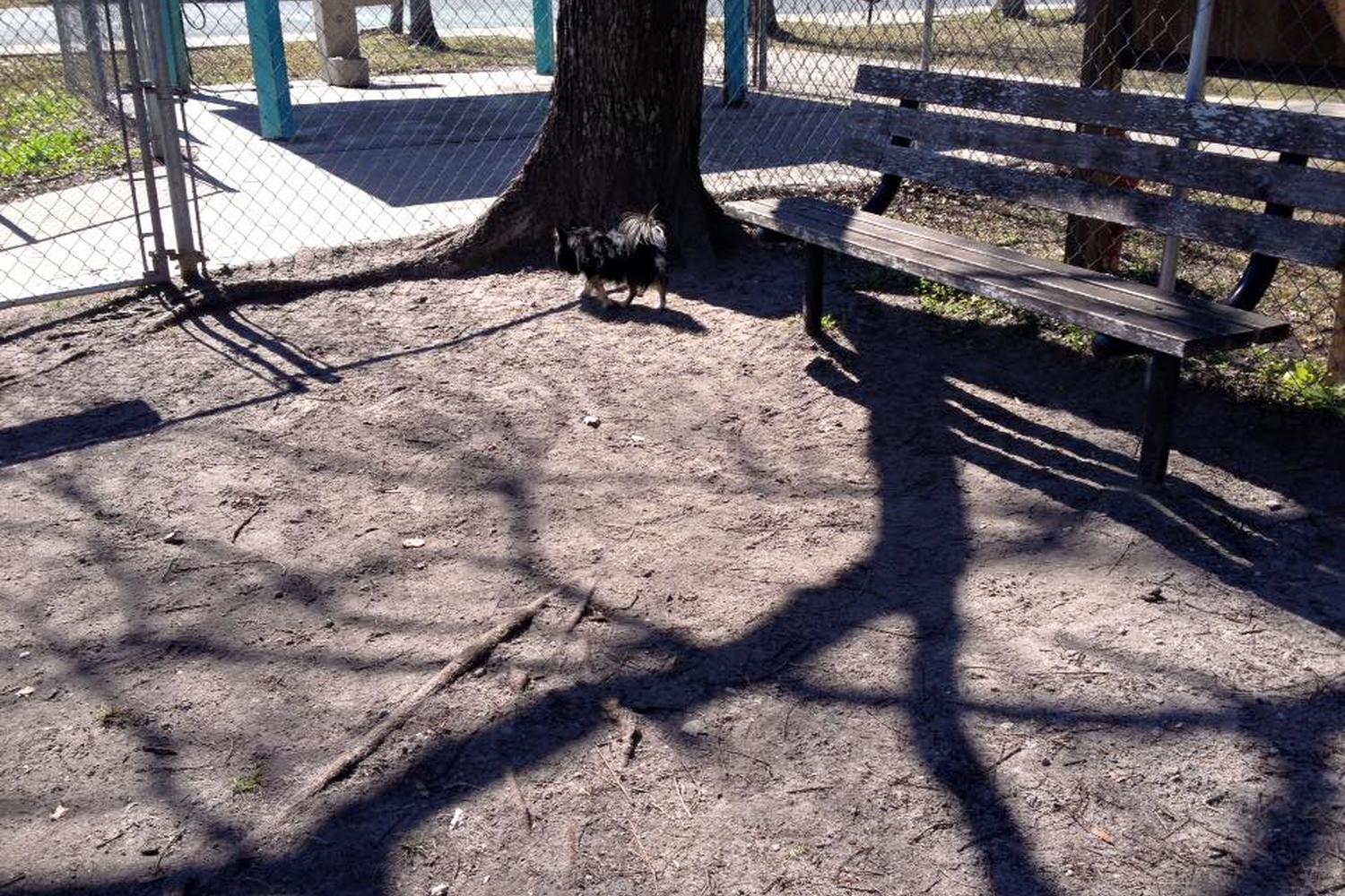 Meadows Dog Park 6