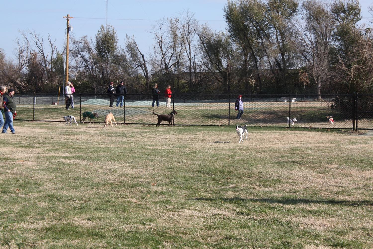 Cruse Dog Park 2