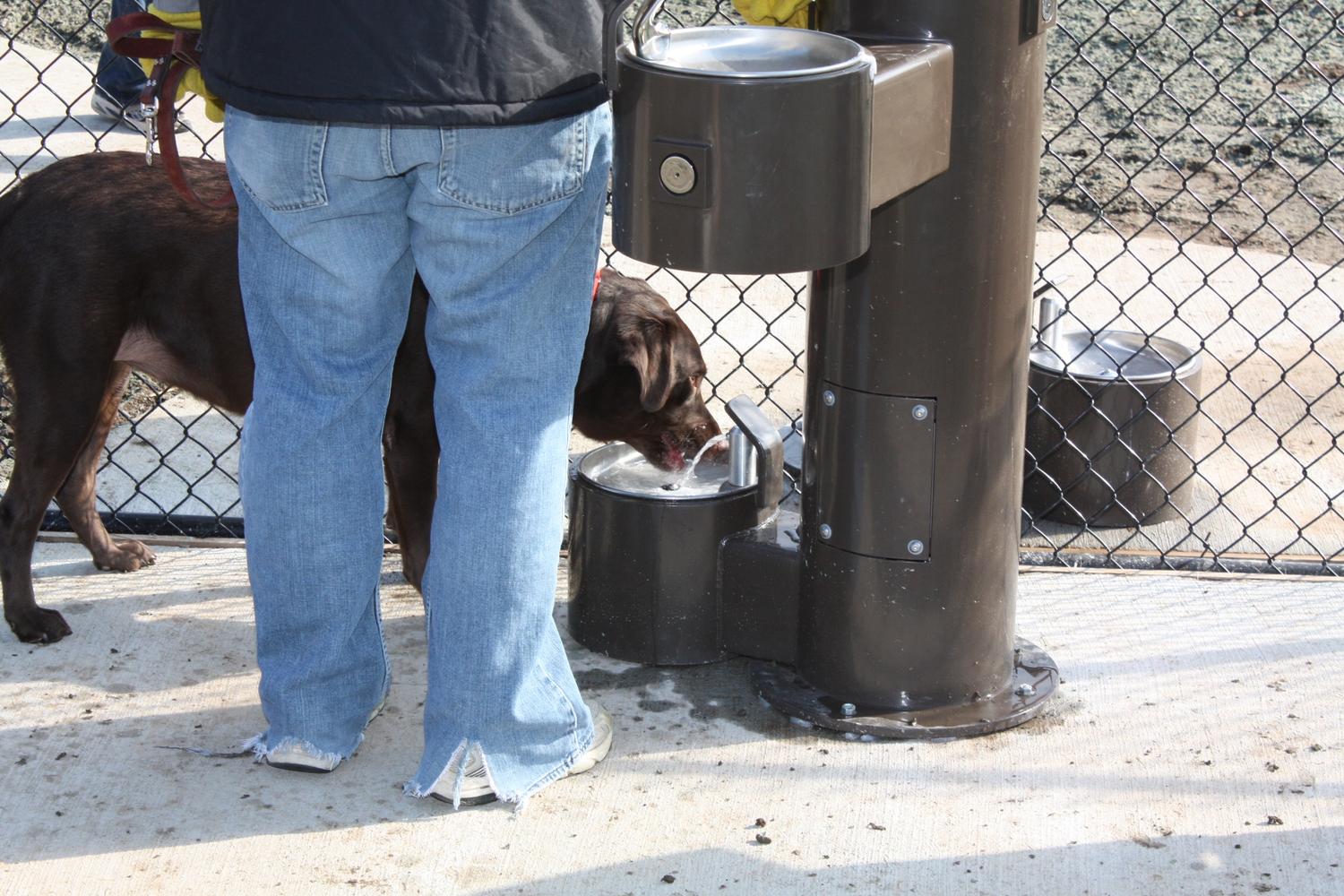 Cruse Dog Park 4