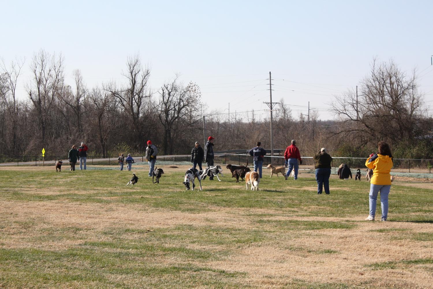 Cruse Dog Park 1