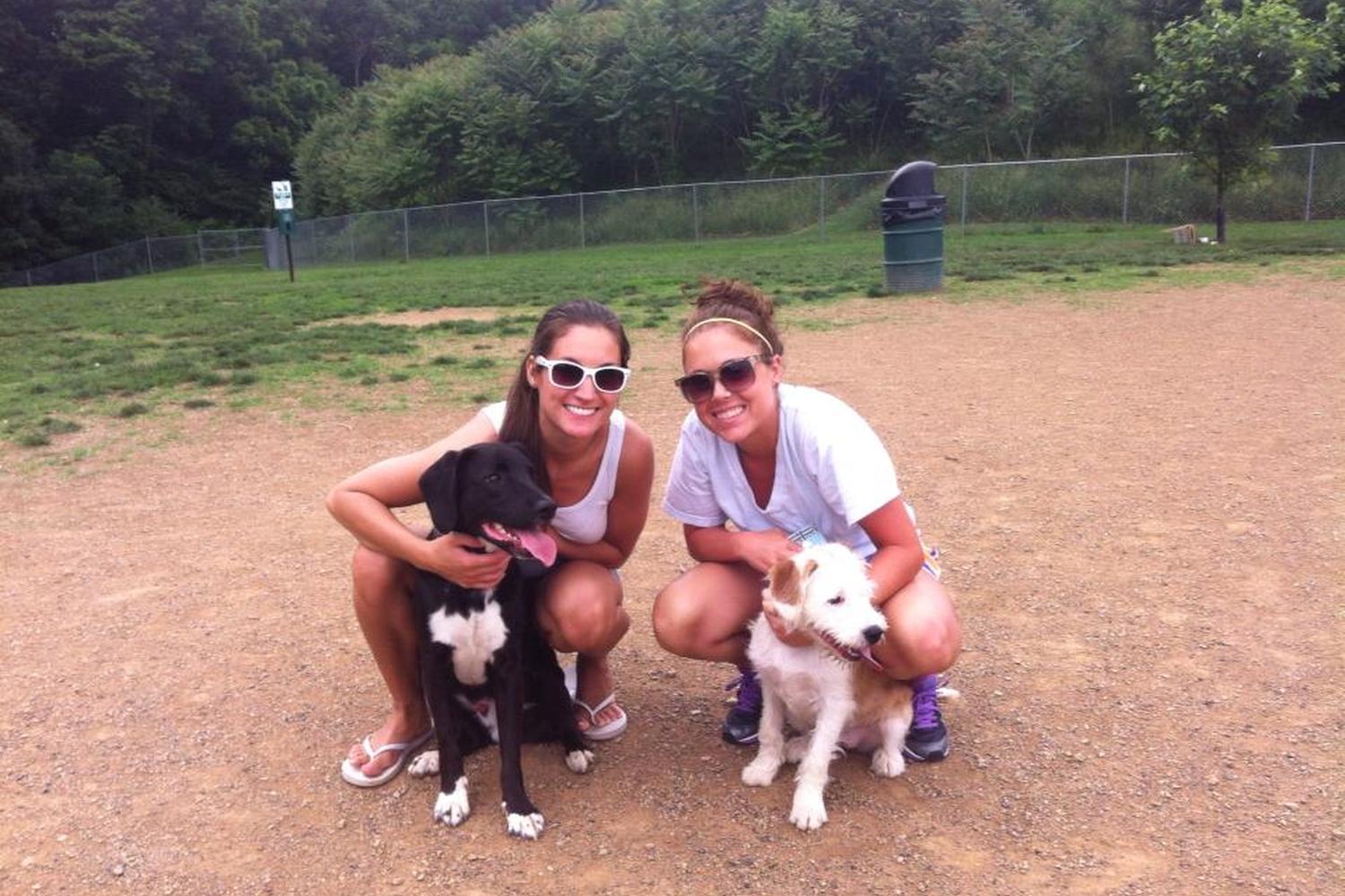 Happy Tails Dog Park 2