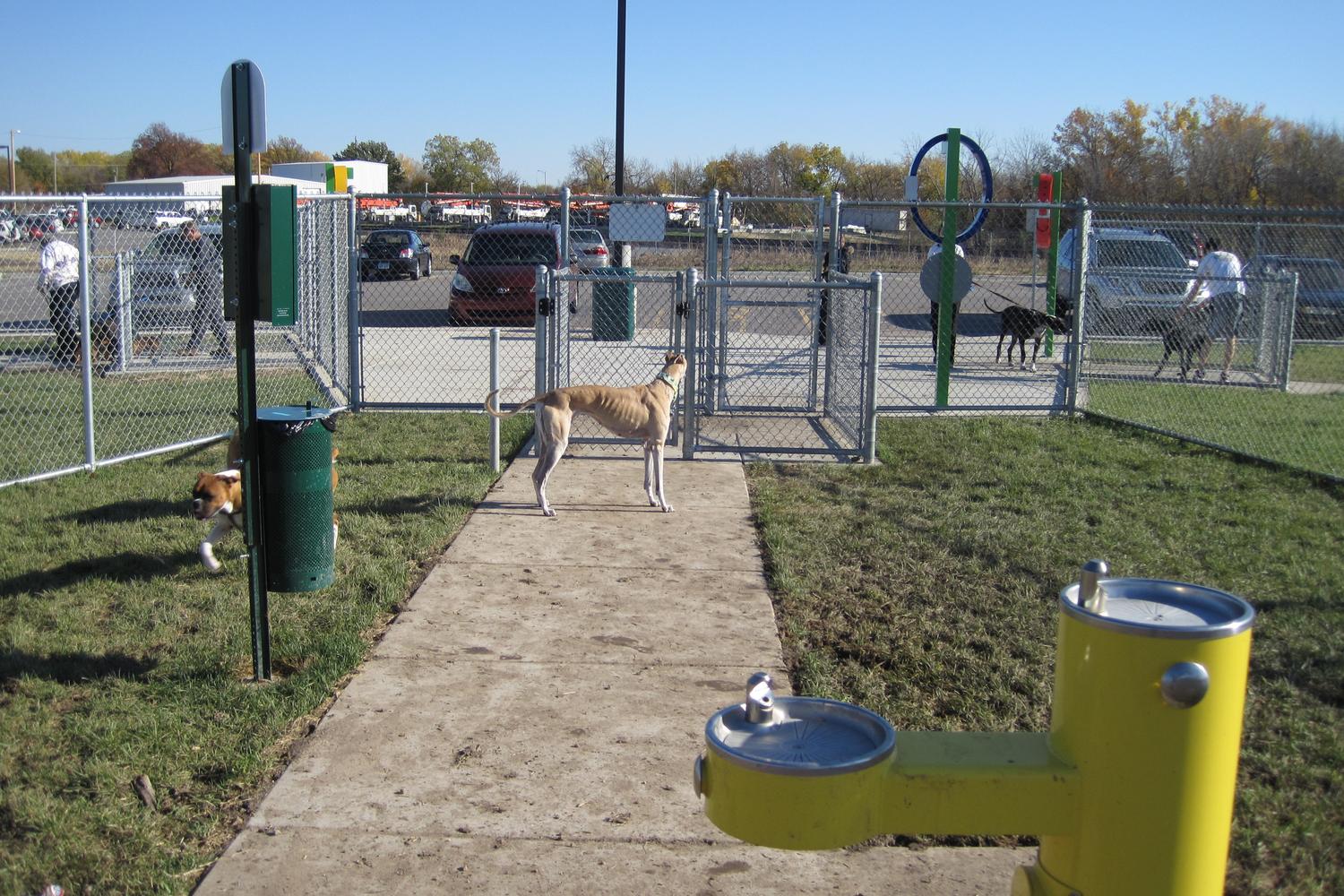 Murfin Animal Care Campus Dog Park 8