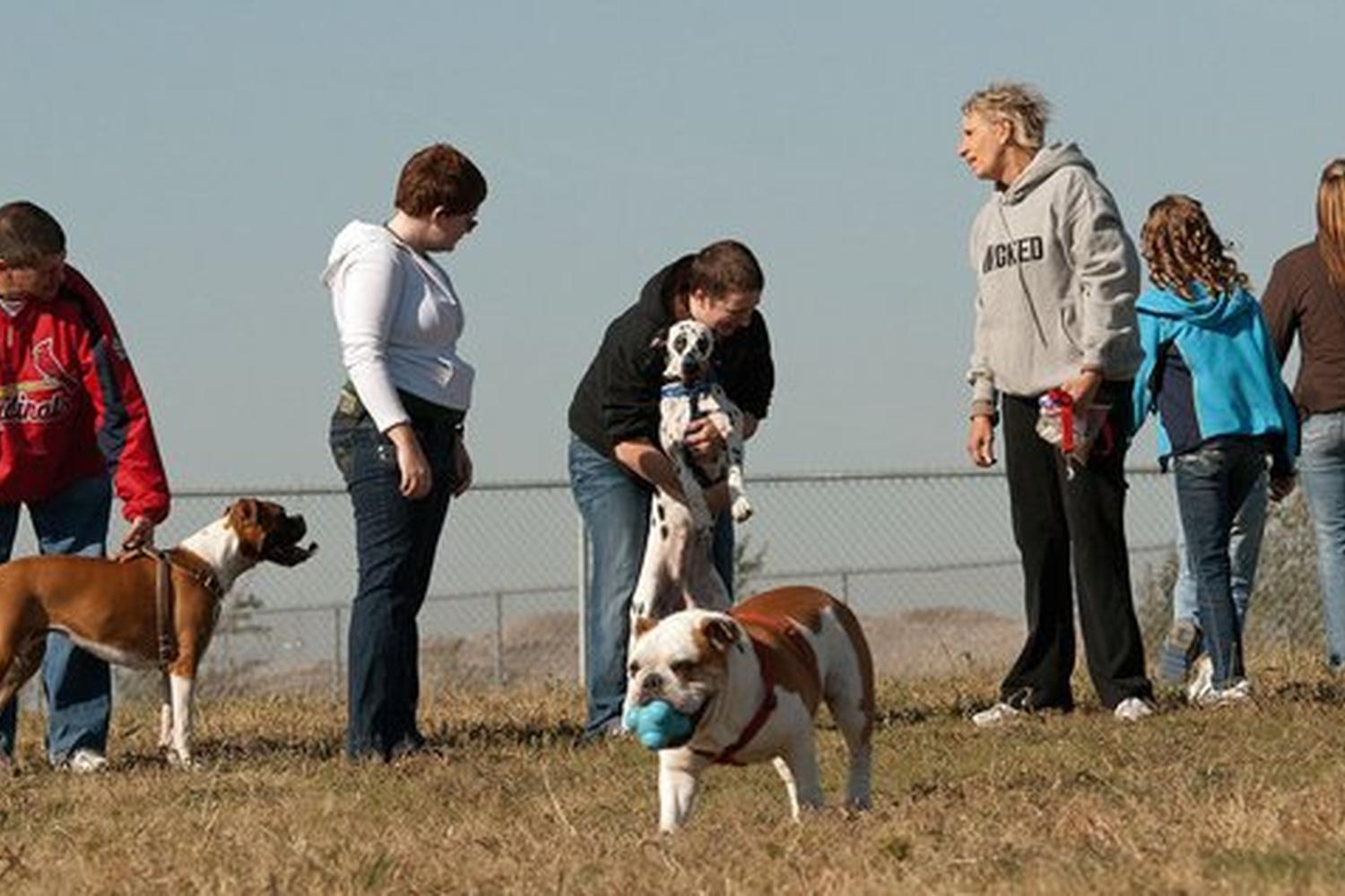 Murfin Animal Care Campus Dog Park 0