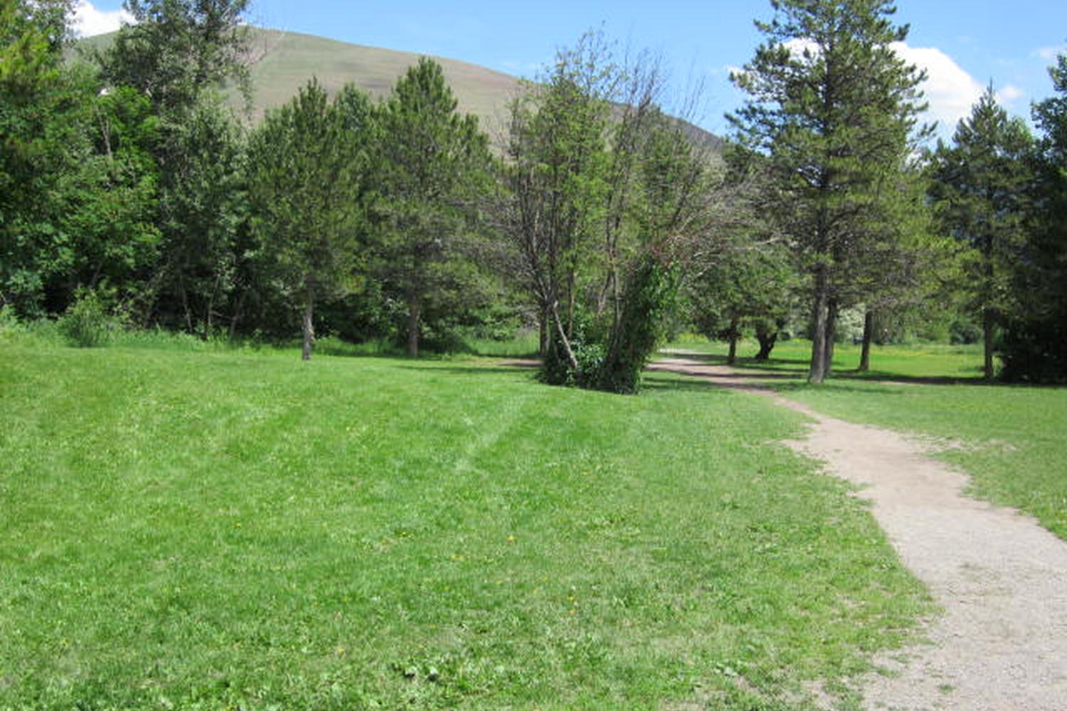 Jacobs Island Bark Park 0